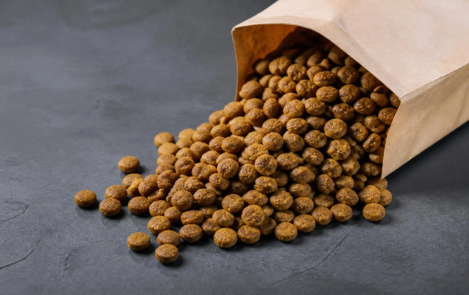Dry dog food kibble spilling from a kraft sack